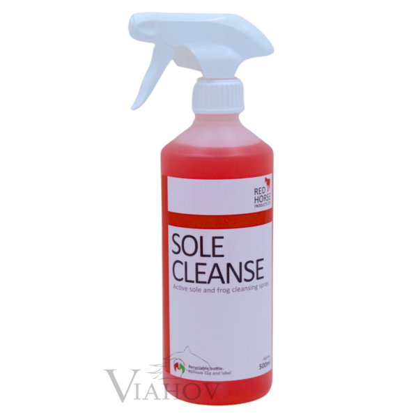 Sole Cleanse - 500ml (inkl...