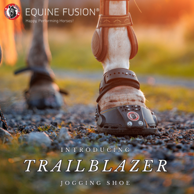 PROVSKOR TRAILBLAZER (uthyrning)