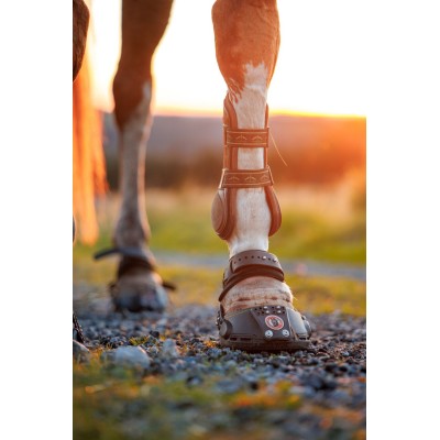 PROVSKOR TRAILBLAZER (uthyrning)