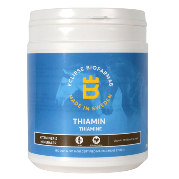 Thiamin - Eclipse Biofarmab
