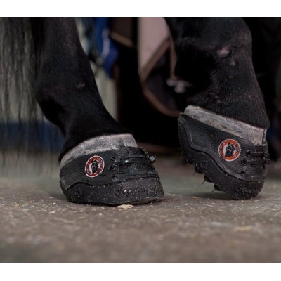 24/7 Jogging Shoe