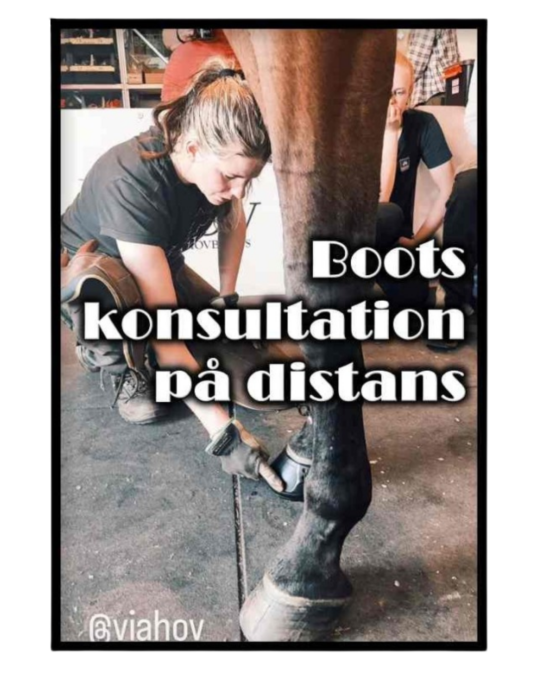 BOOTSKONSULT.png