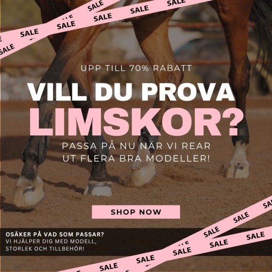 Vi lagerrensar limskor!