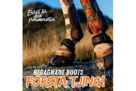 ♻️ Nya hovboots i vår begagnathörna