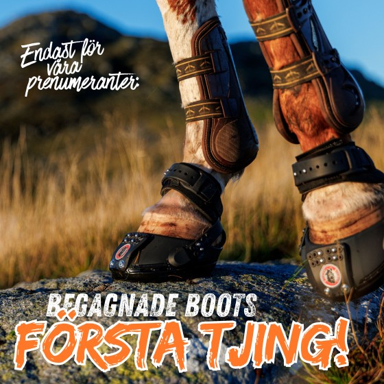 ♻️ Nya hovboots i vår begagnathörna