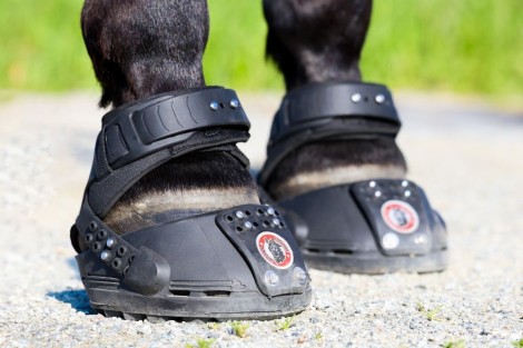 NYHET! Nu kan du provhyra Trailblazer