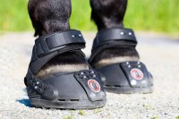 NYHET! Nu kan du provhyra Trailblazer